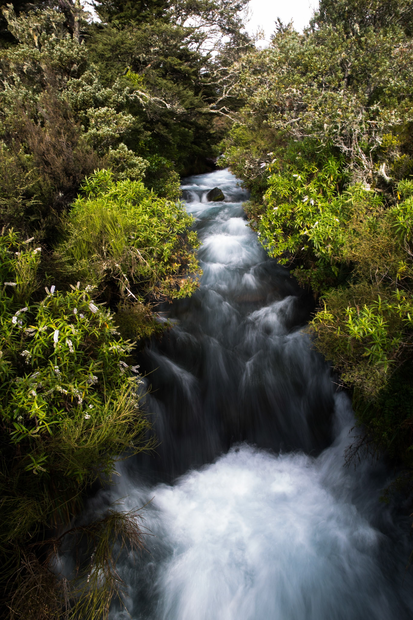 Waihohonu to Whakapapa village, Tongariro, New Zealand