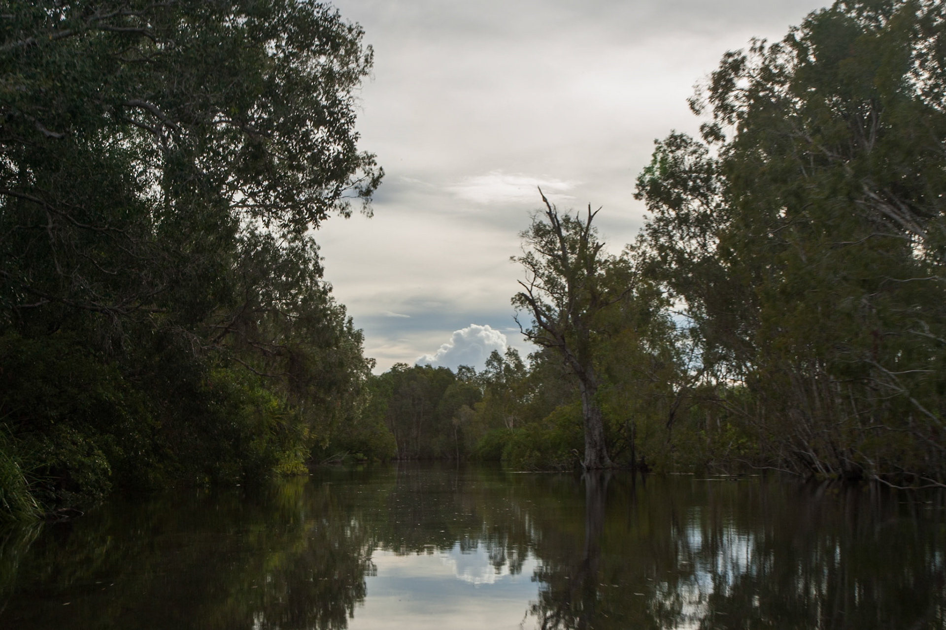 The tranquility of the water and surrounding bush. Mount Borradale, Arnhemland, Northern Territory