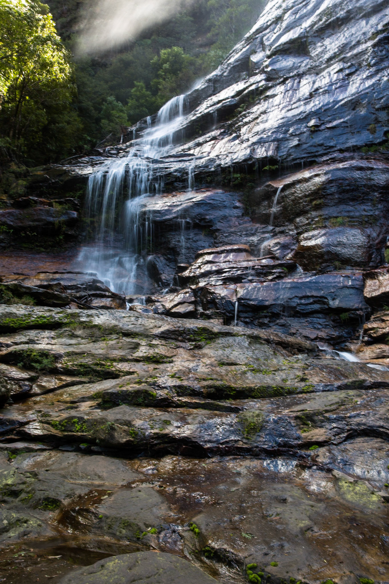Started on the track to Golf Links lookout. Walked past the Pool of Siloam to Gordon Falls lookout. Followed the Prince Henry cliff walk to Leura Cascades from where we descended through Leura Forest to the junction with Federal Pass tea stop. Continued along Federal Pass past the junction with Dardanelles Pass (near the base of the Giant Staircase); past the base of Furber Steps to the Scenic Railway lower station (Lunch stop).  Some returned via the Scenic Railway, whilst others retraced steps and ascended the Giant Staircase to Echo Point. Notes by Peter Watt.