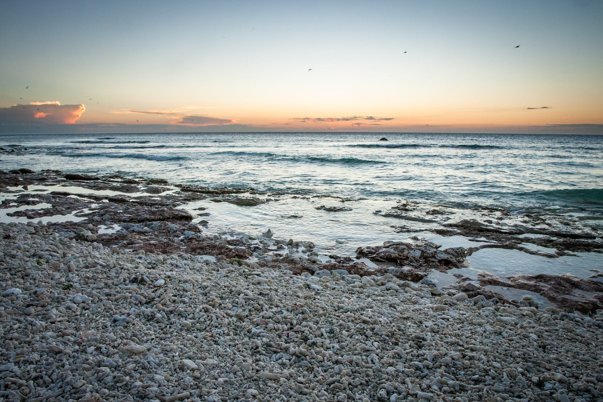 Whale watching beach, Lady Elliot Island, Queensland, Australia