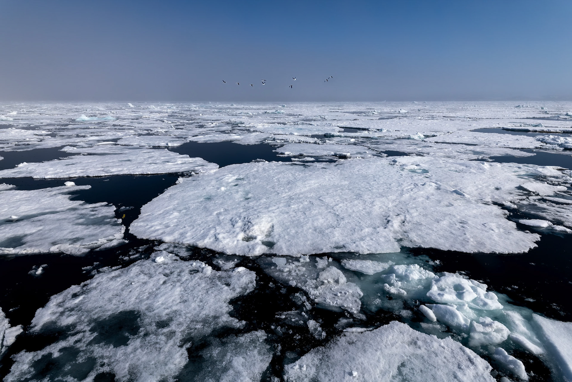Landscape, Osteroyare, Svalbard, Norway