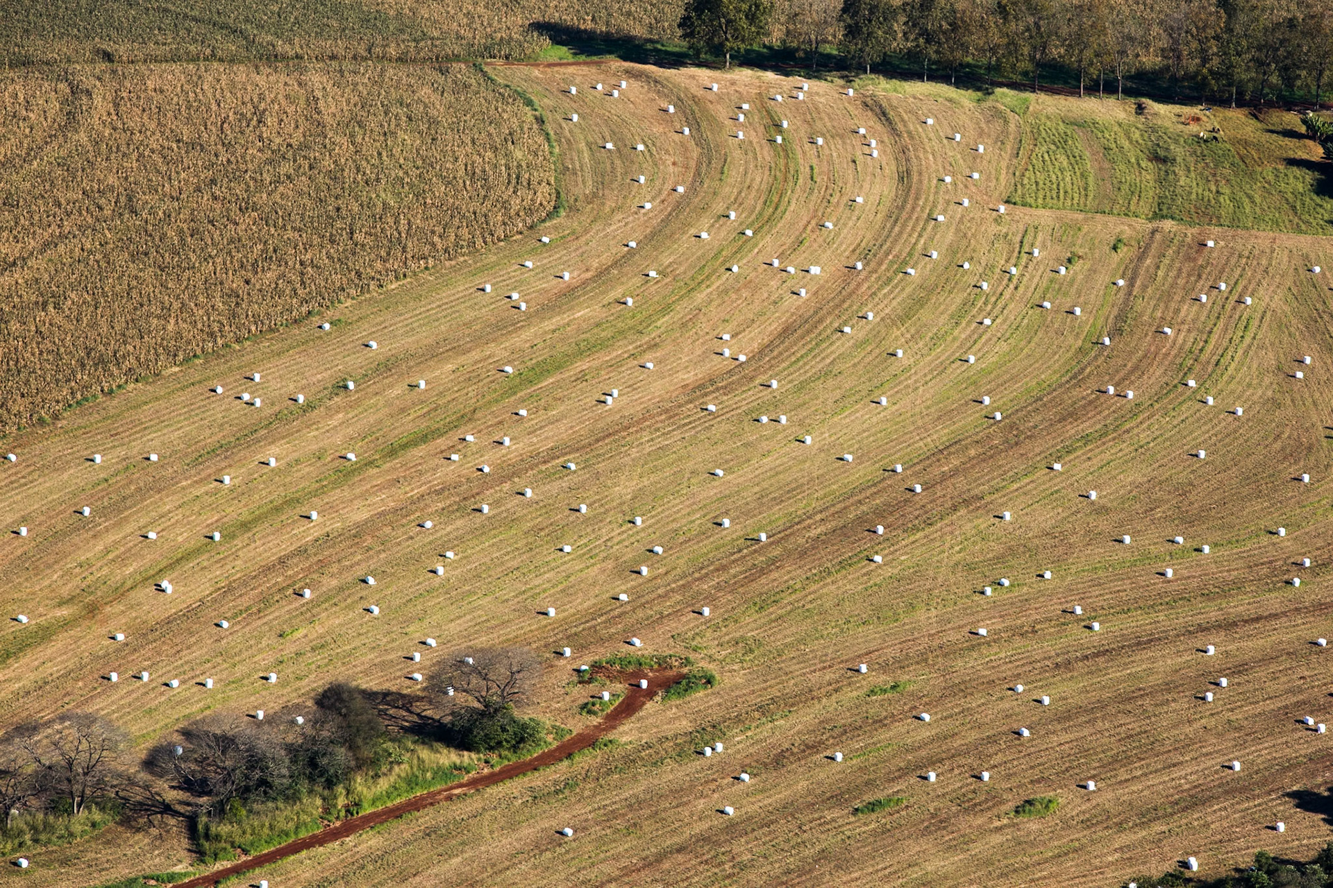 Iguassu Falls, Brazil and Argentina
