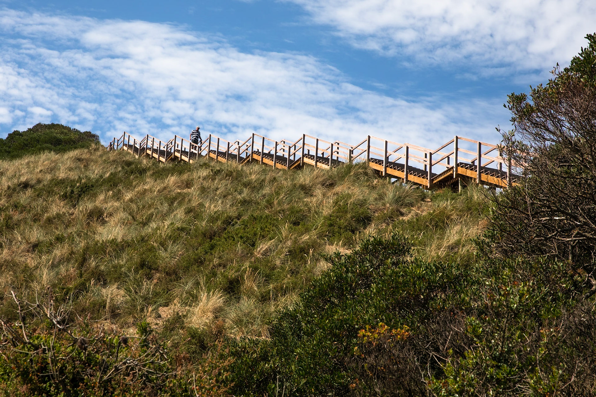 The neck lookout, Bruny Island, Tasmania