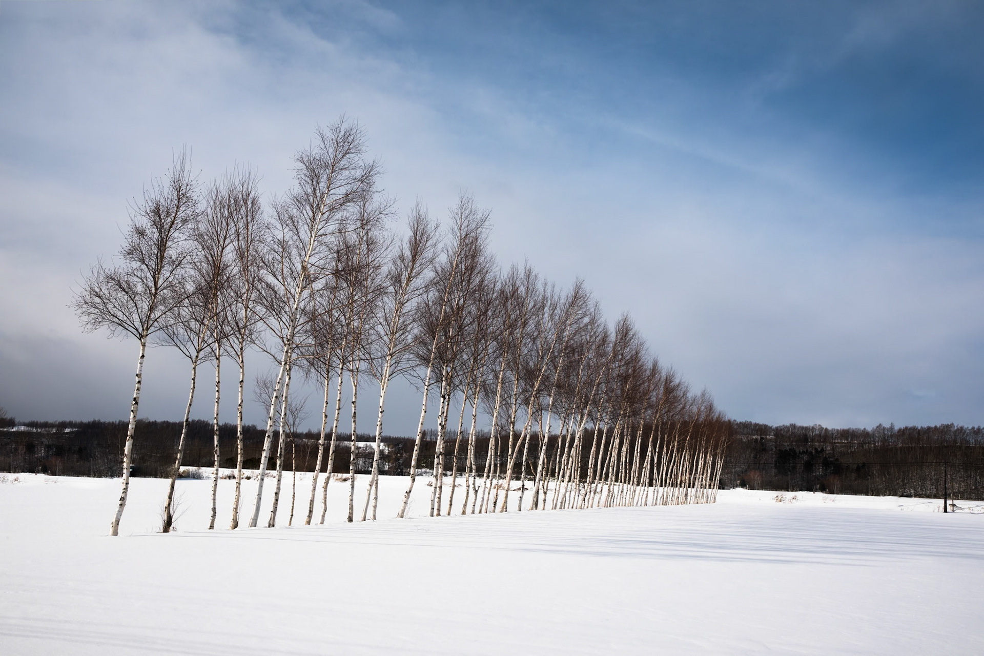 Near Lake Tofutsu, Koshimizu, Hokkaido, Japan