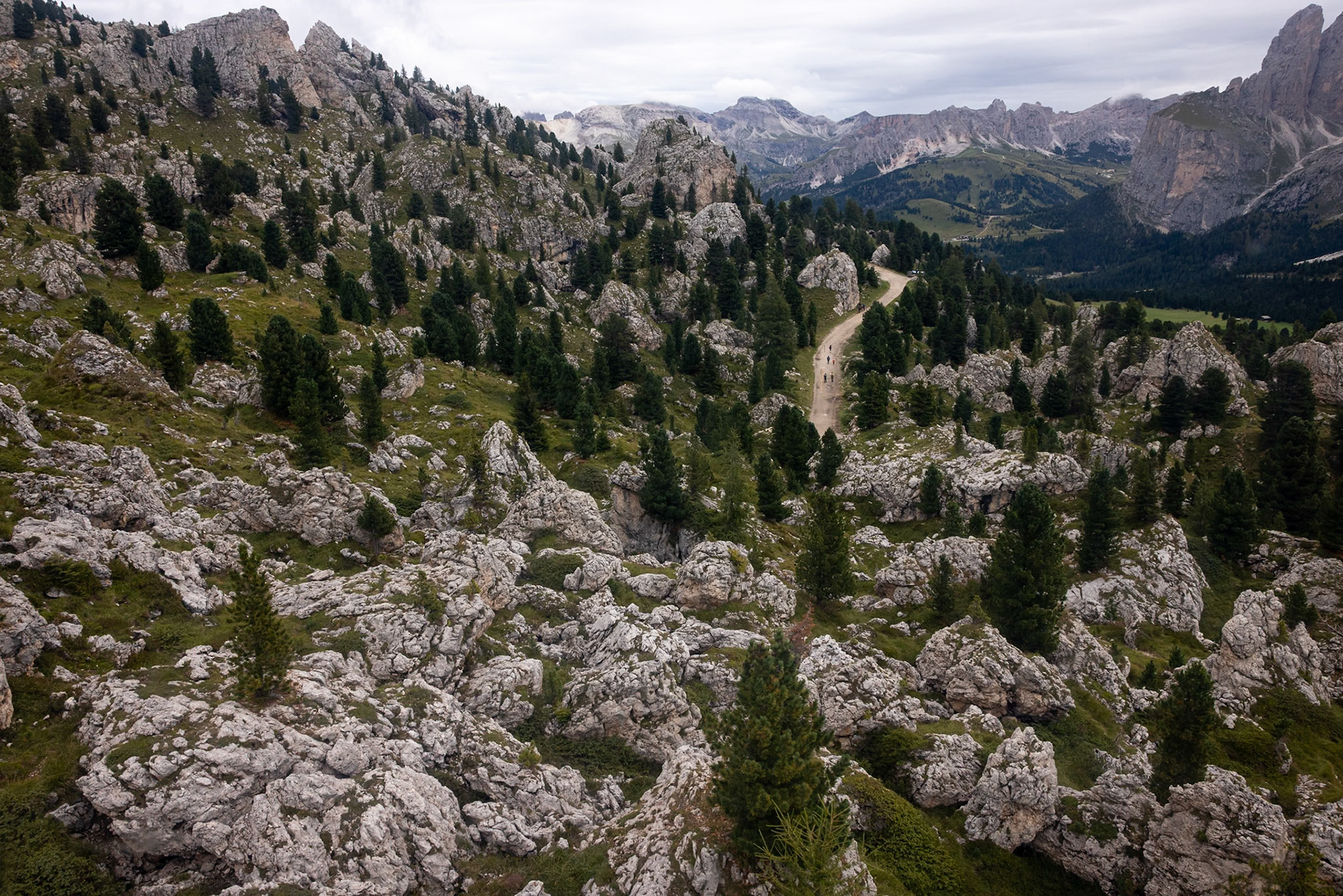 Passo Sella, Sassolungo, Selva di Val Gardena, Dolomites, South Tyrol, Italy