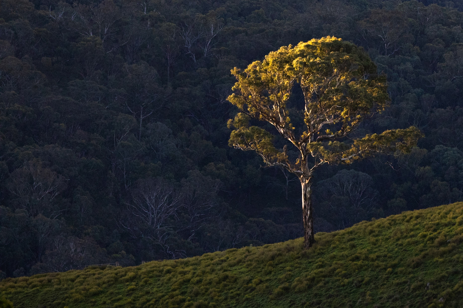 Turon Gates, New South Wales