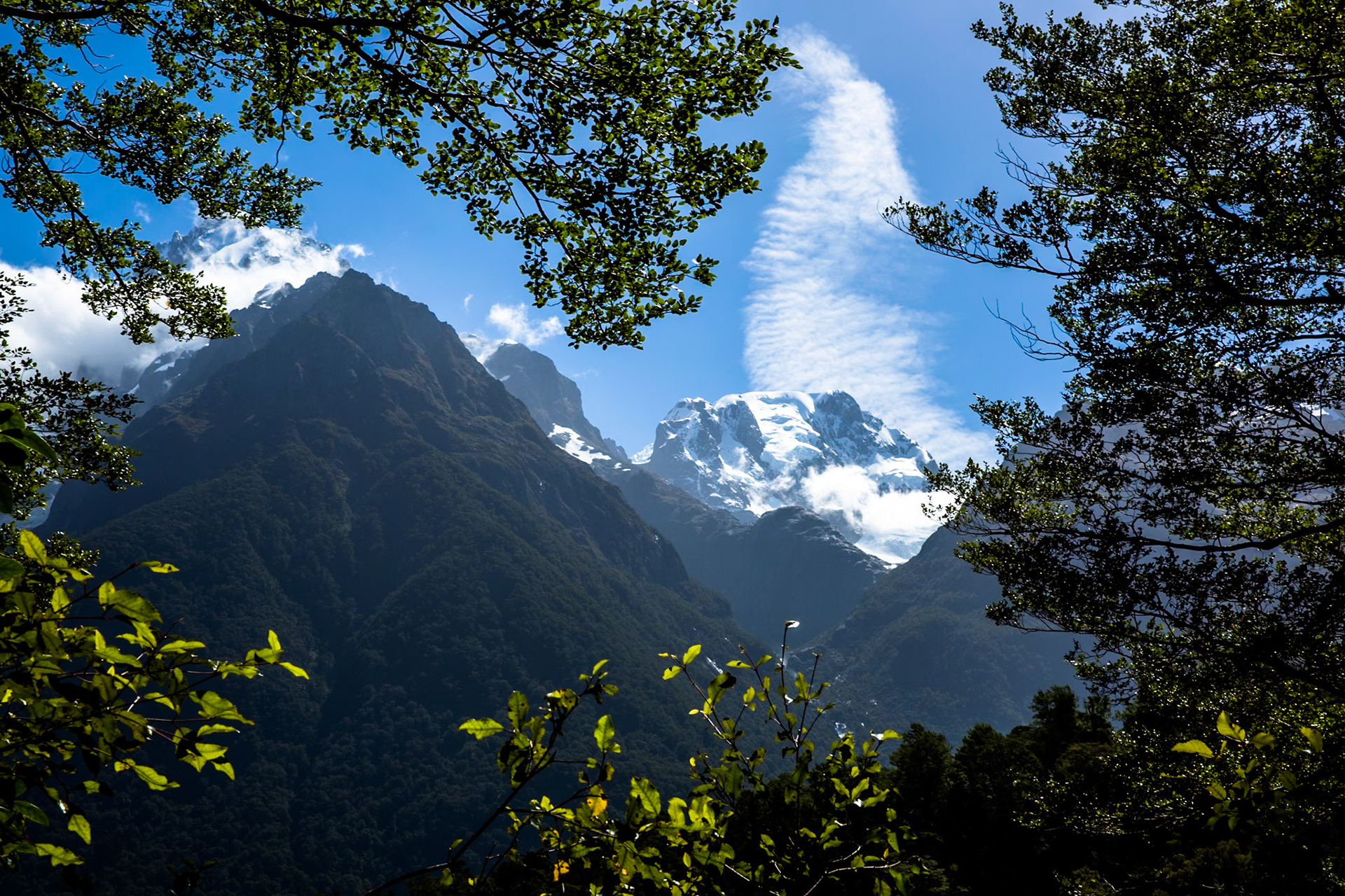 Hollyford Track to Pyke Lodge, New Zealand