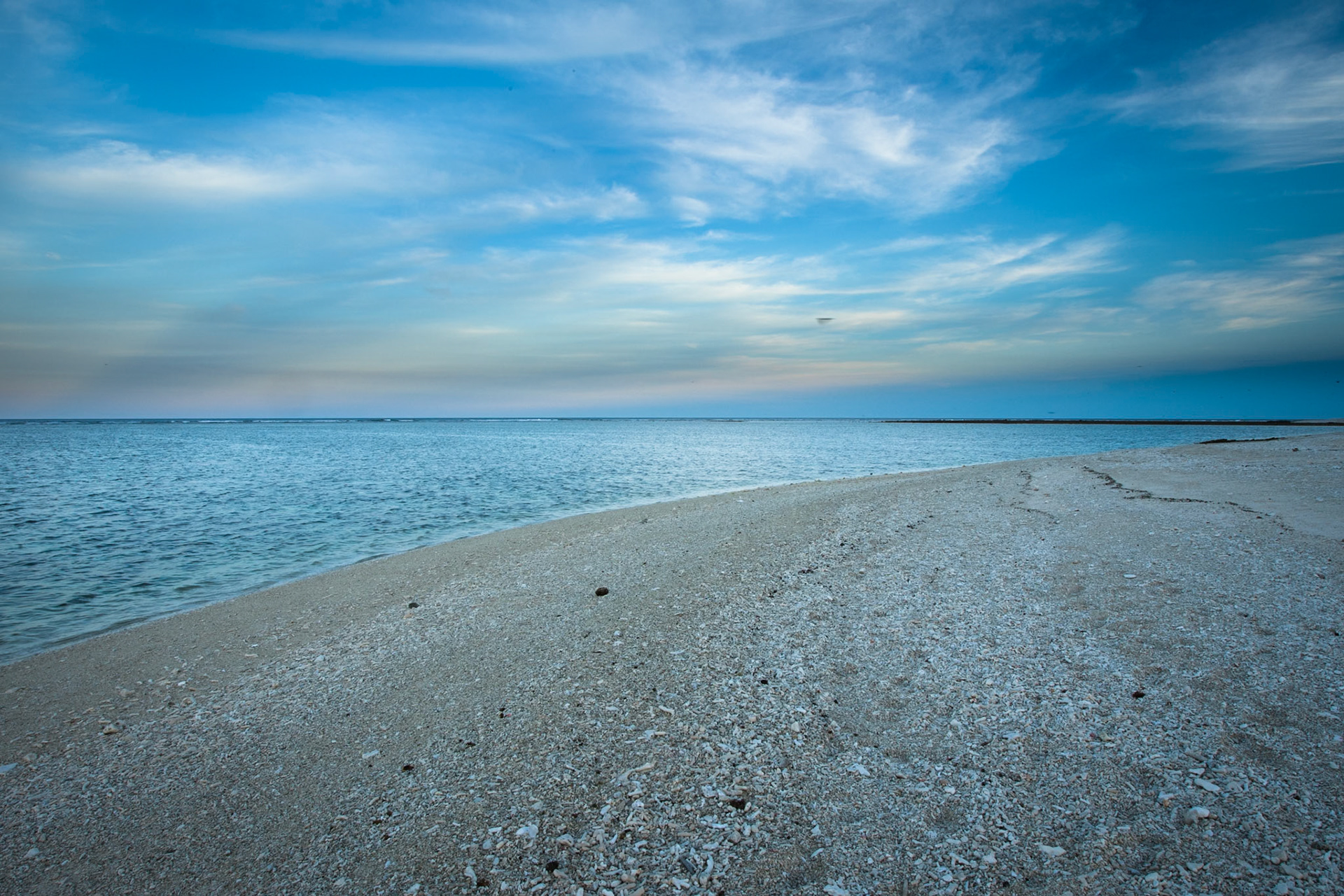 Coral Garden beach, Lady Elliot Island, Queensland, Australia