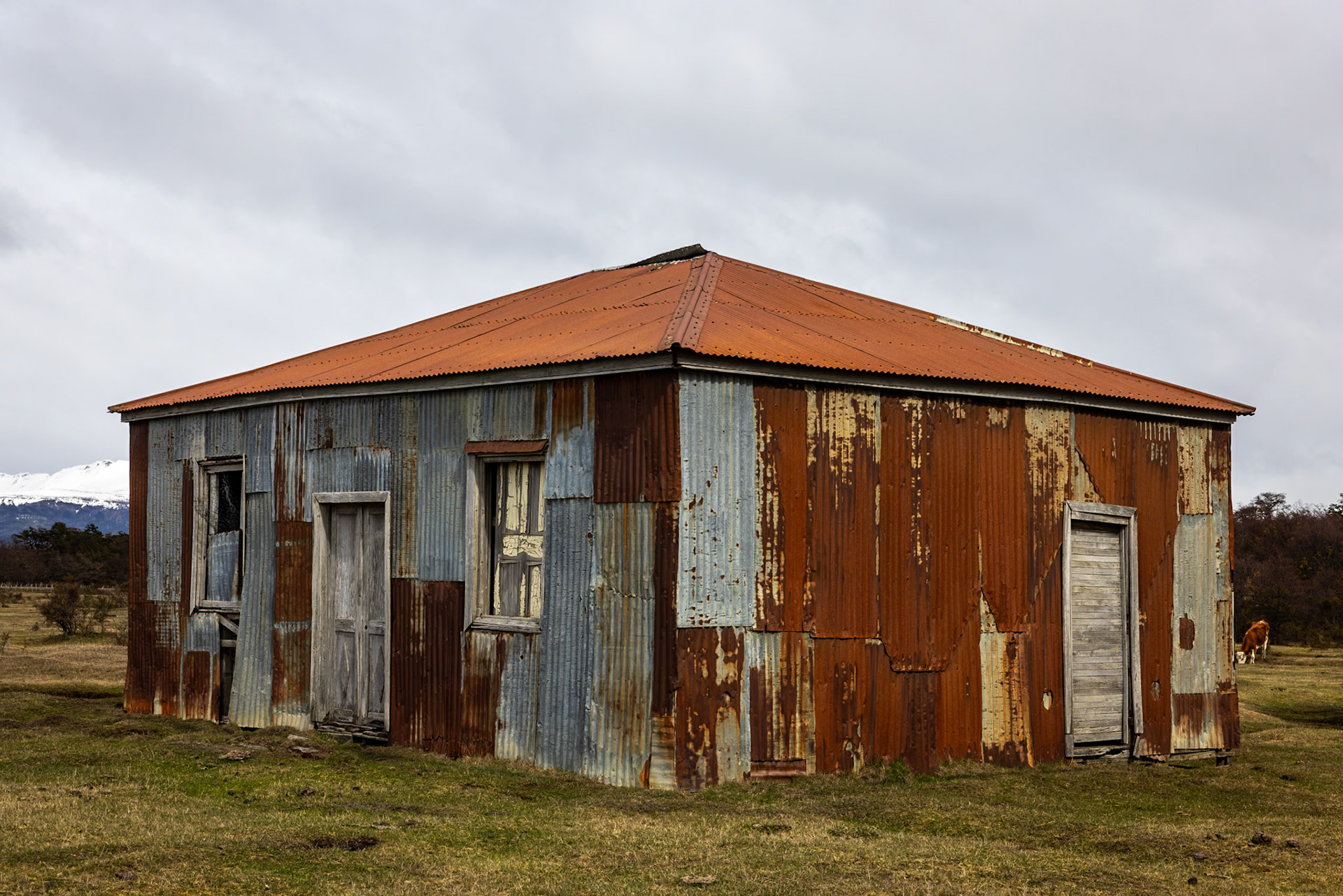Punta Arenas, Patagonia, Chilé