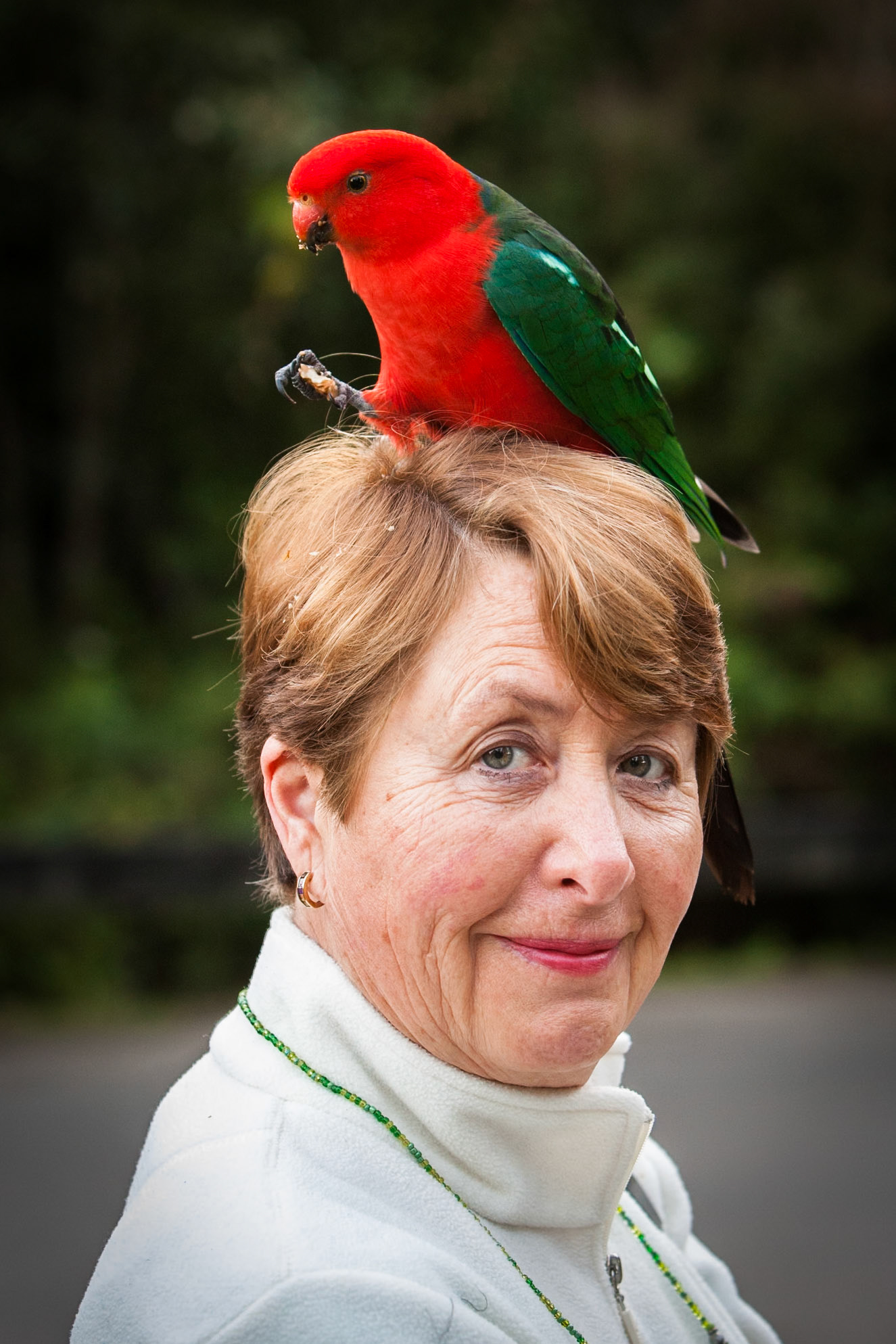 Lamington National Park, Queensland