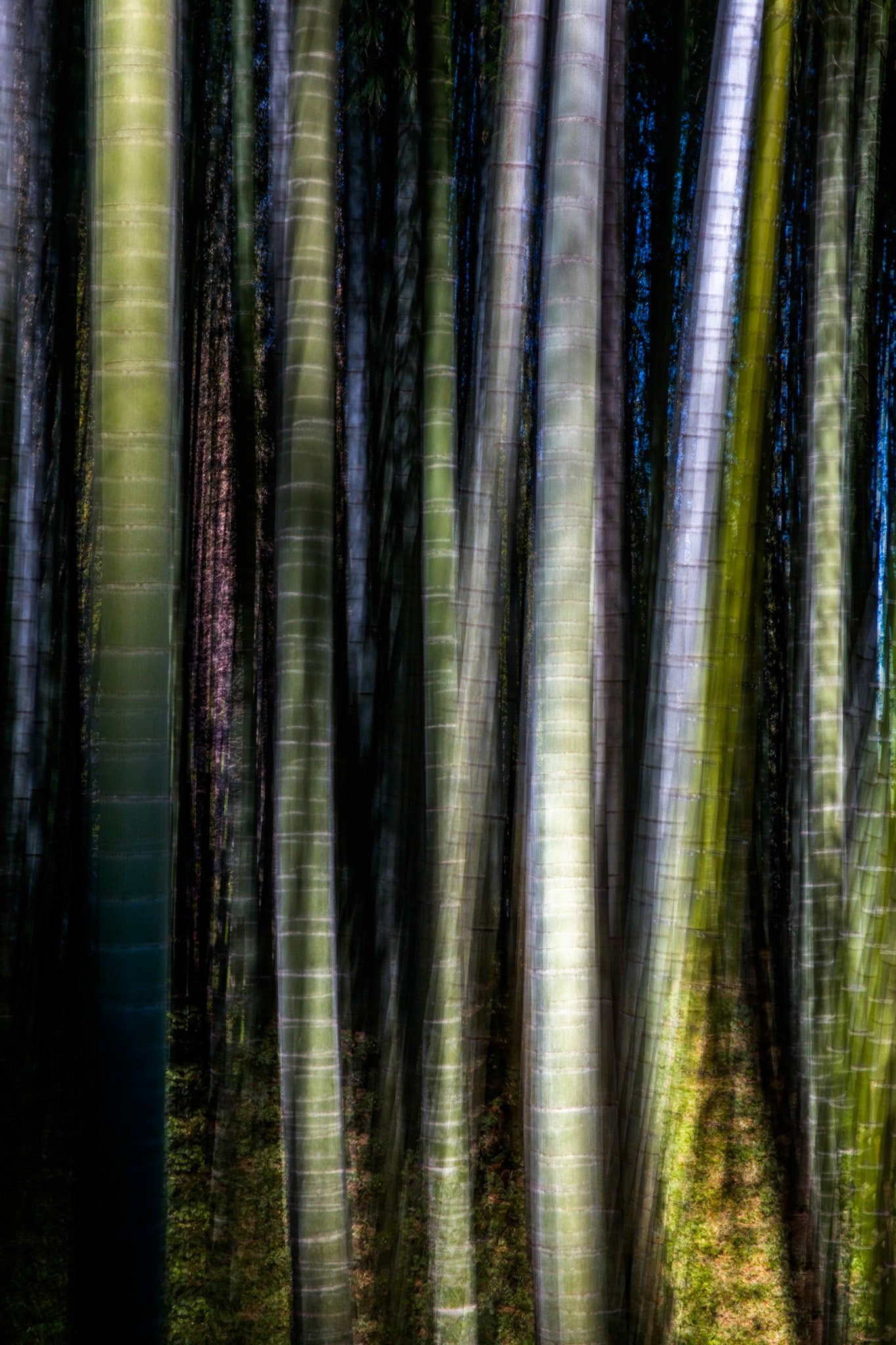 Hōkoku-ji, near Tokyo, Japan