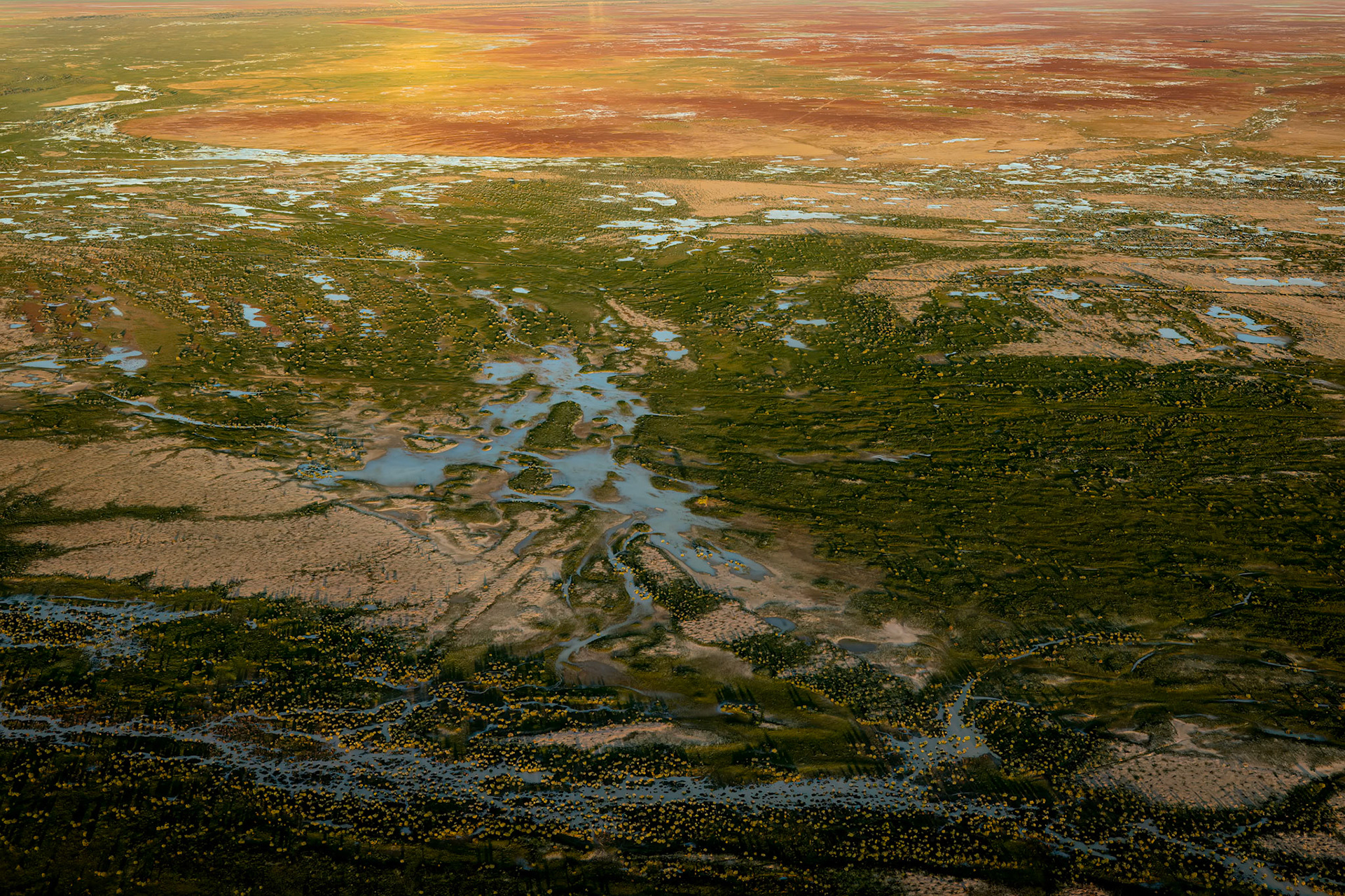 Landscape, Goyder lagoon, Birdsville, Queensland, Australia
