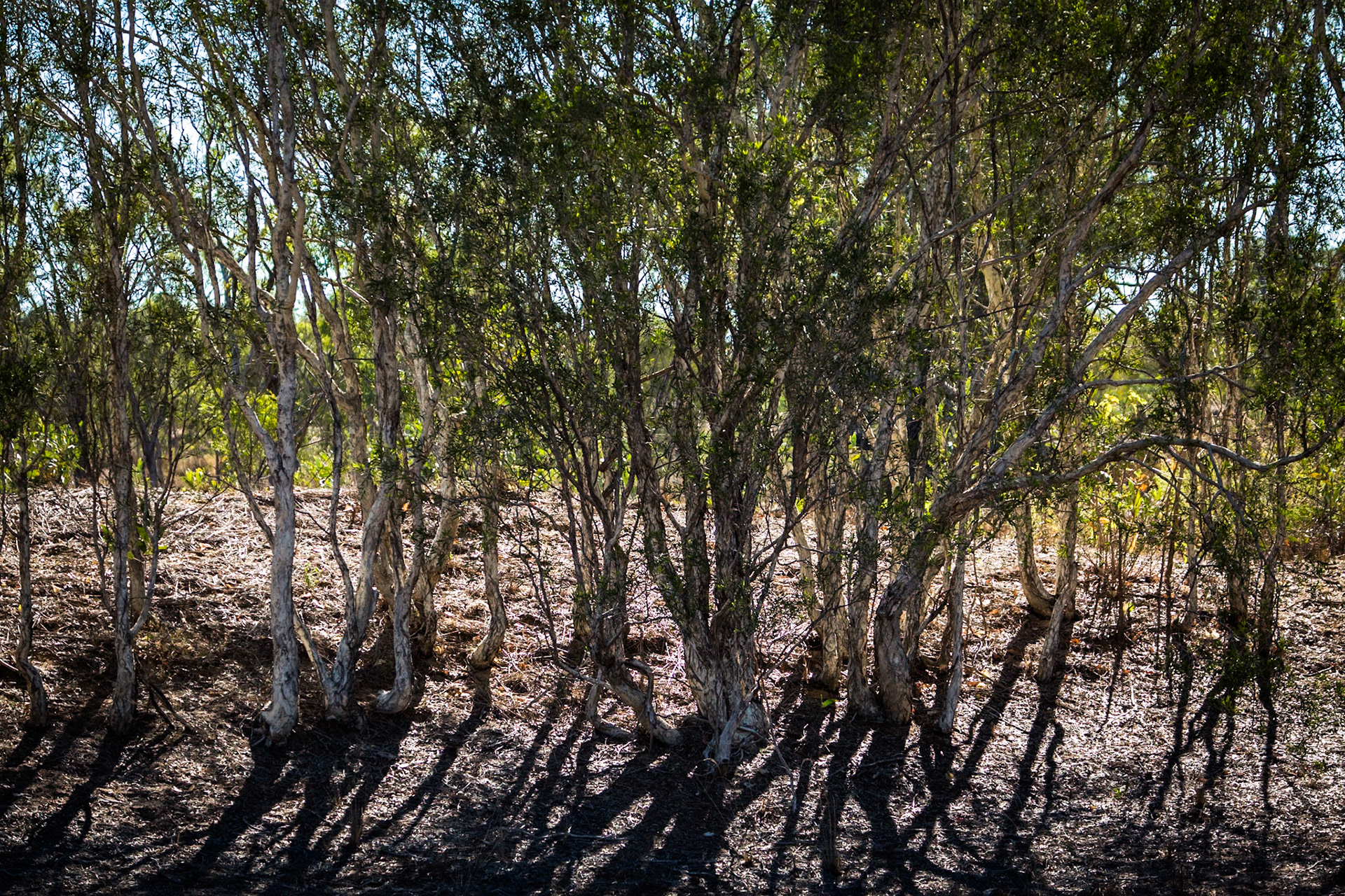 Broome, West Australia