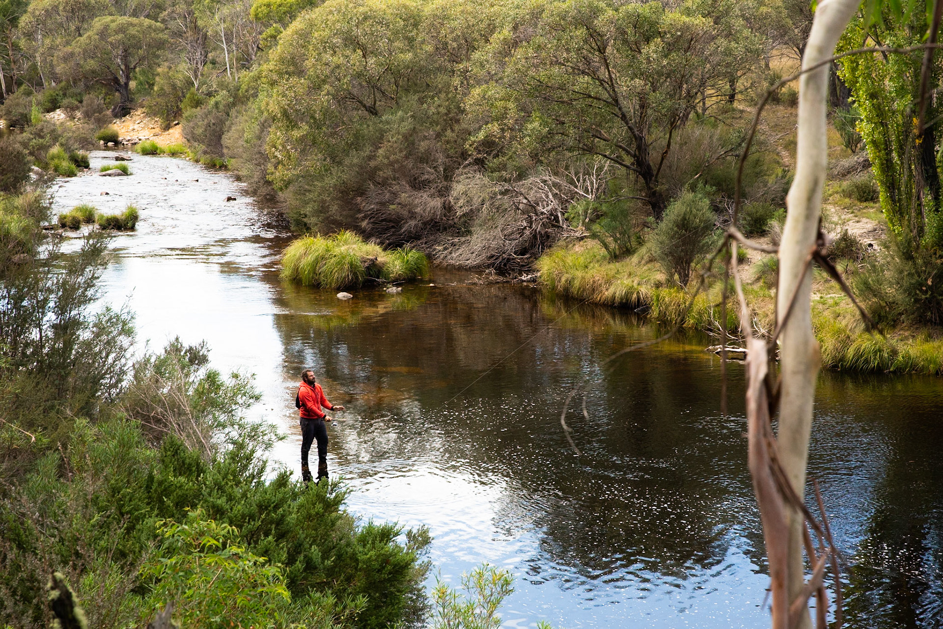 Sawpit creek track, Mount Kosciuszko National Park, Snowy Mountains, New South Wales