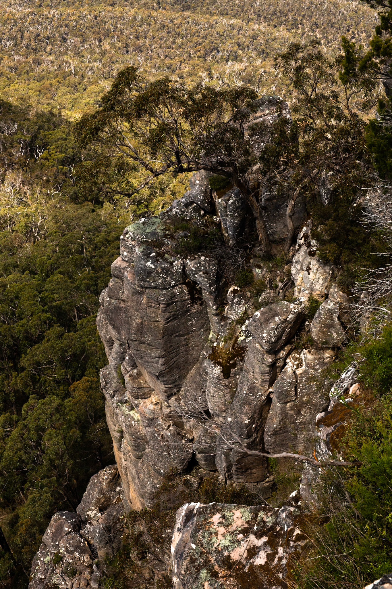 Sundial Peak circuit, Hall's Gap, The Grampians, Victoria