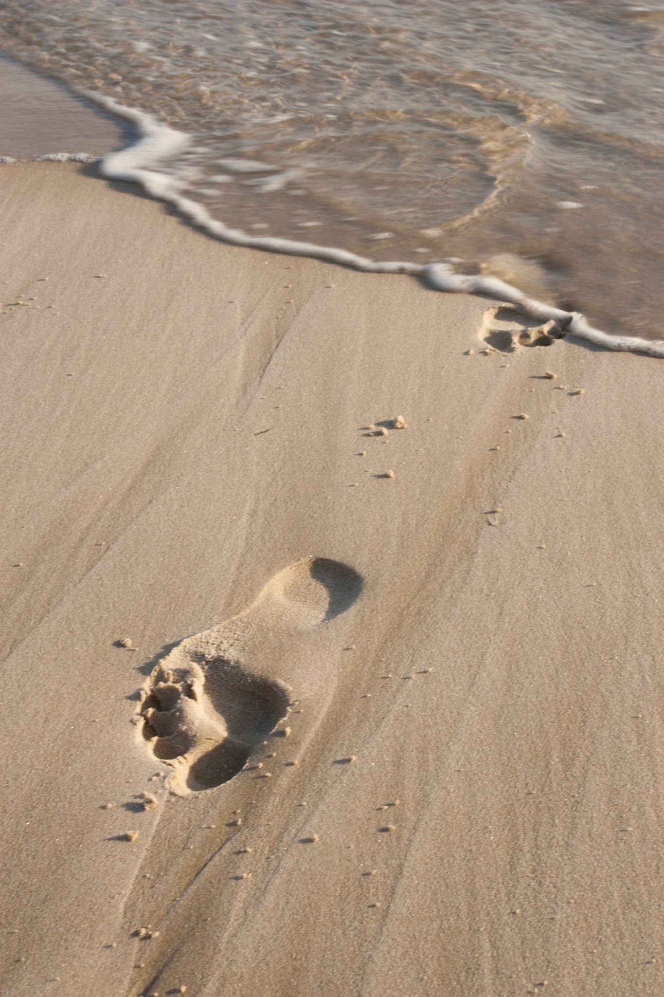 Footprints in the sand, Belongil Beach, Byron Bay, New South Wales