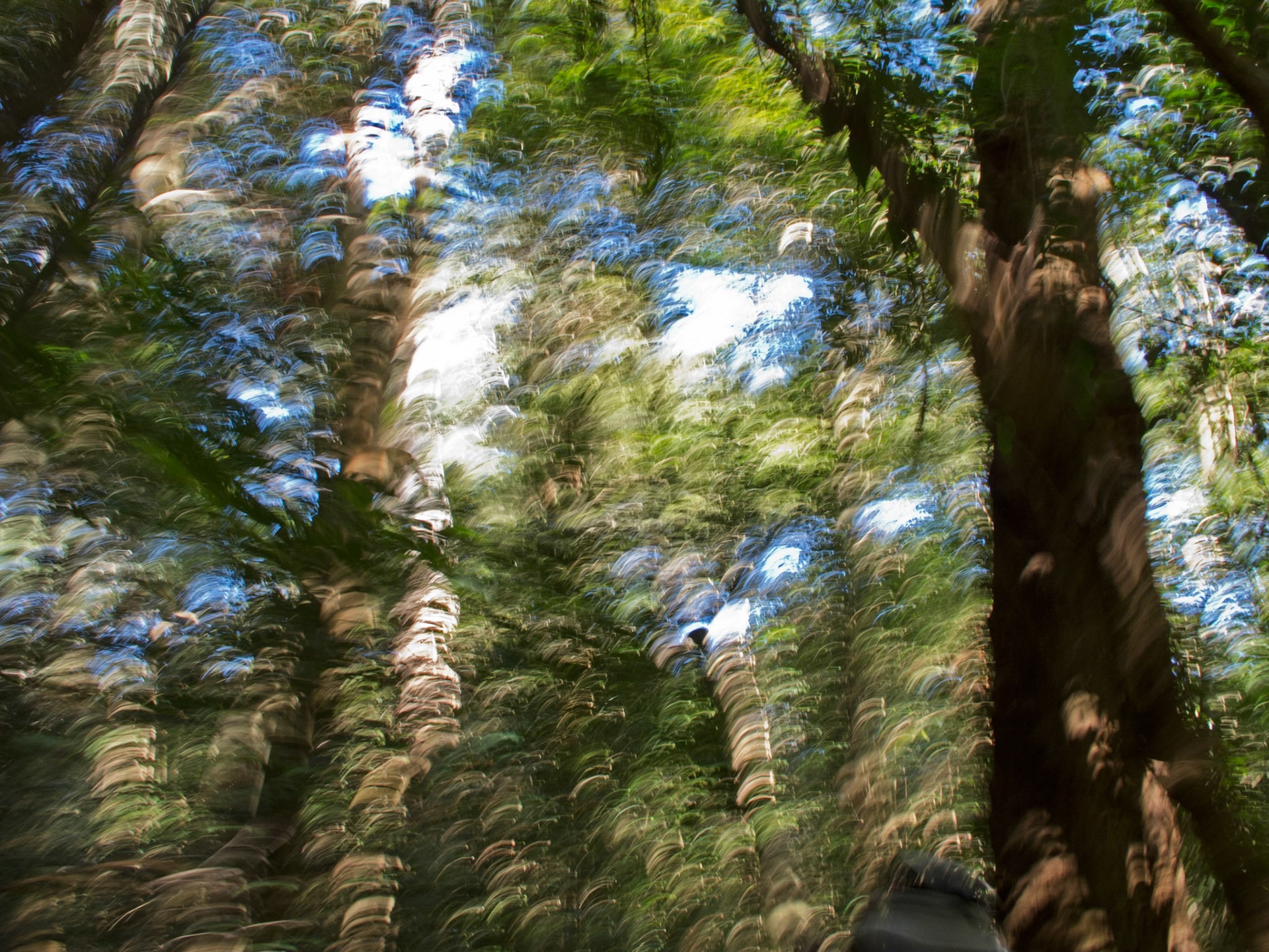 Taken while out walking on a hike- no time to stop. Wanted to capture a different view.