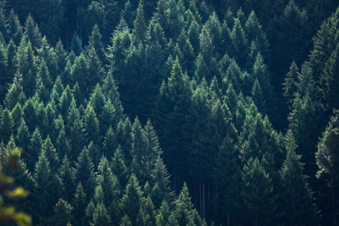 Queenstown, New Zealand