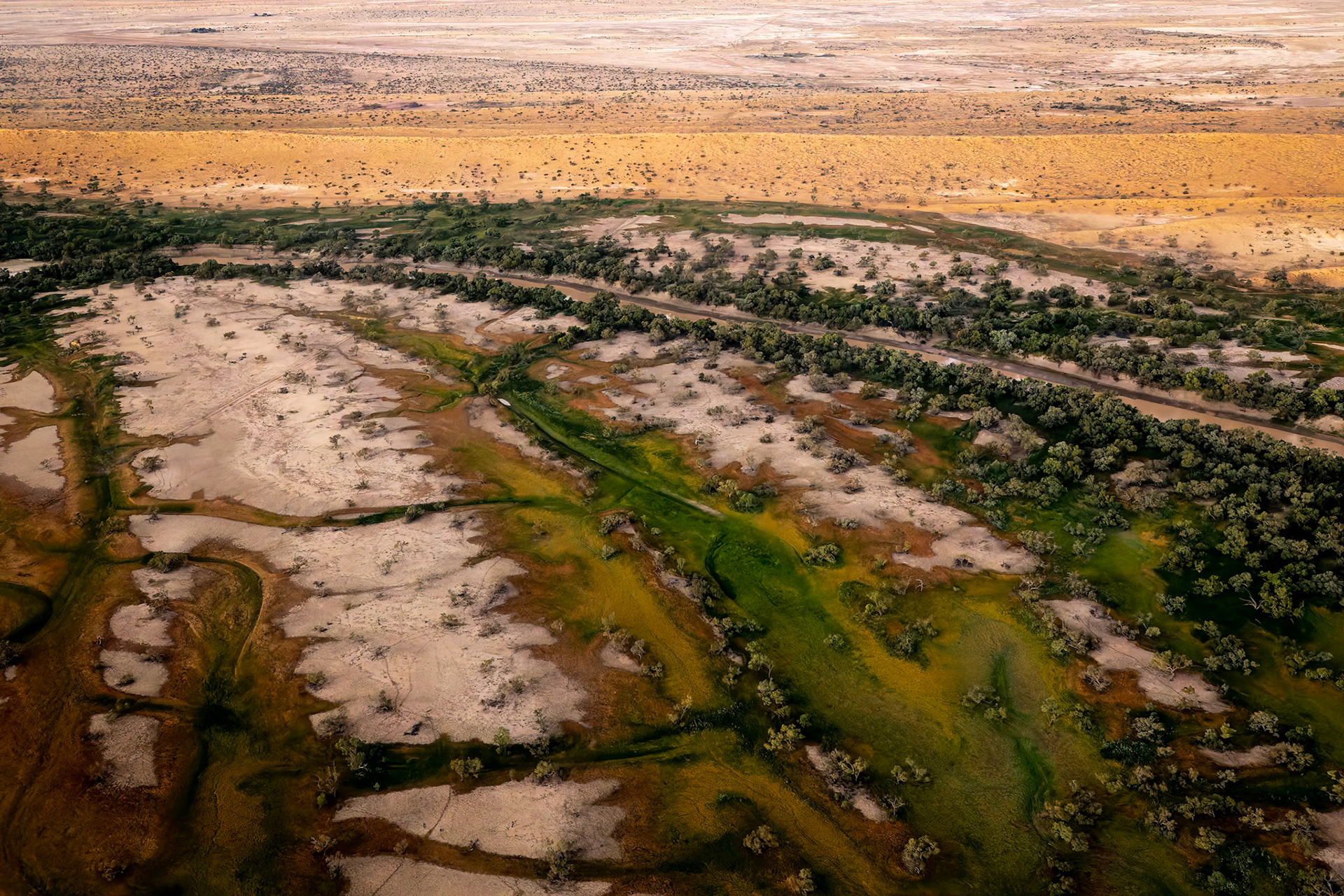 Landscape, Goyder lagoon, Birdsville, Queensland, Australia