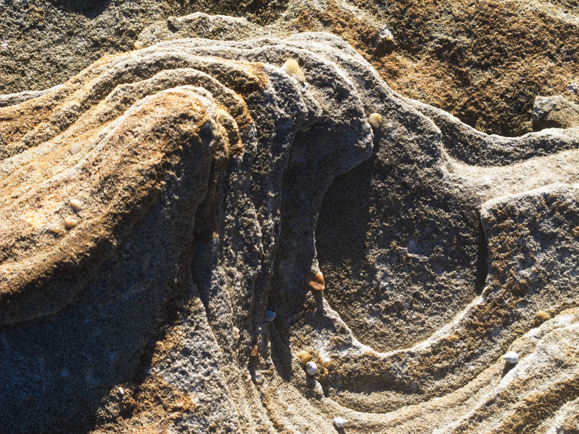 Patterns in the weathered rocks at sunset, Malabar Beach
