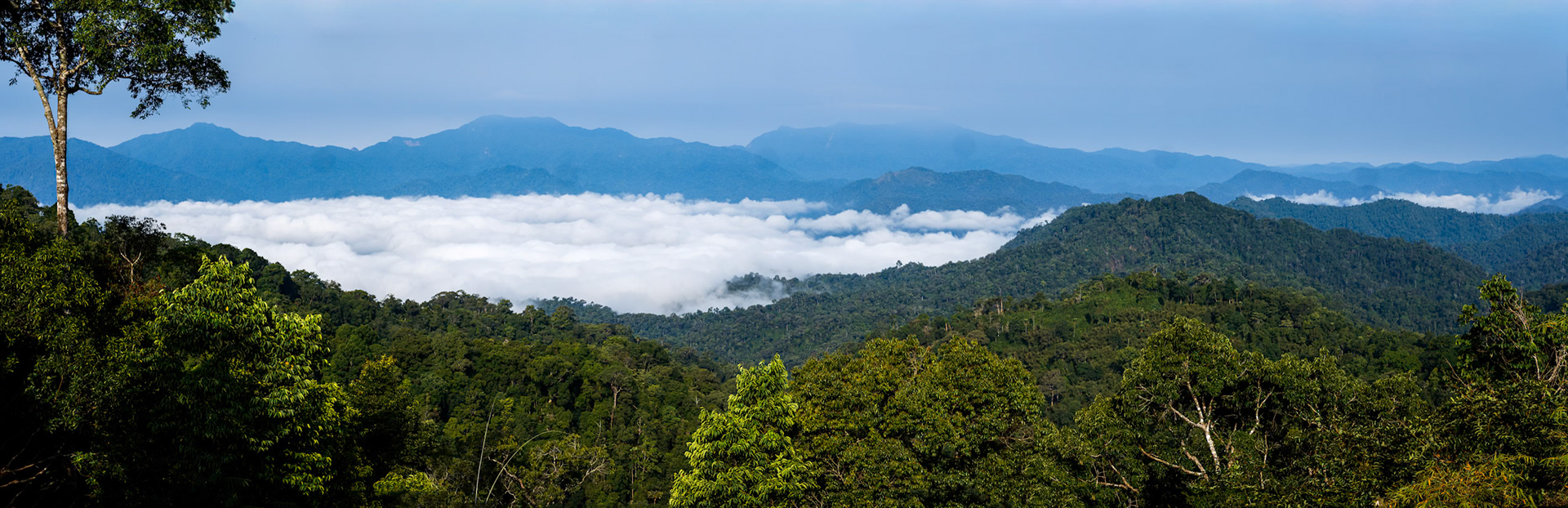 Landscape, Khaeng Krackan National Park, Thailand