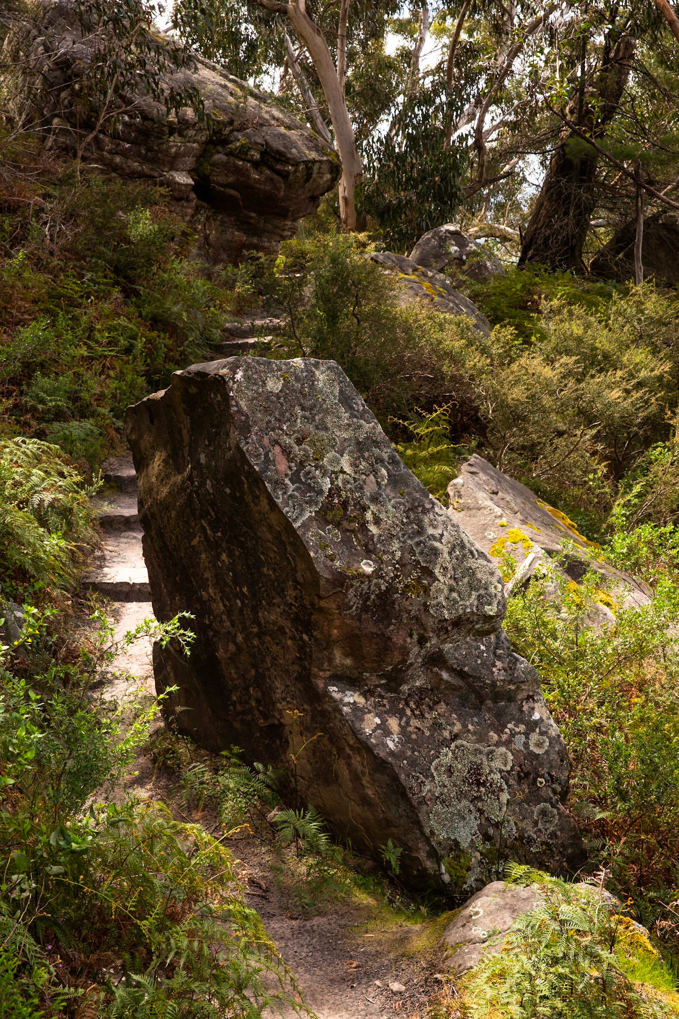 The Pinnacle circuit, Hall's Gap, The Grampians, Victoria