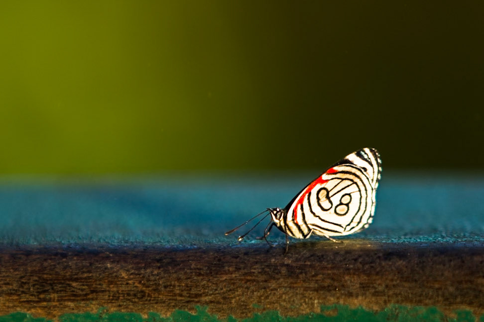 Iguassu Falls, Brazil and Argentina