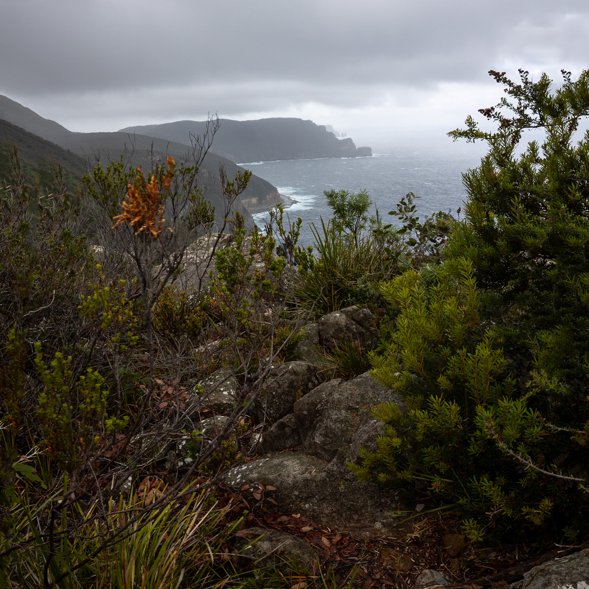 Three Capes Track, Crescent Lodge to Cape Pillar Lodge, Tasmania