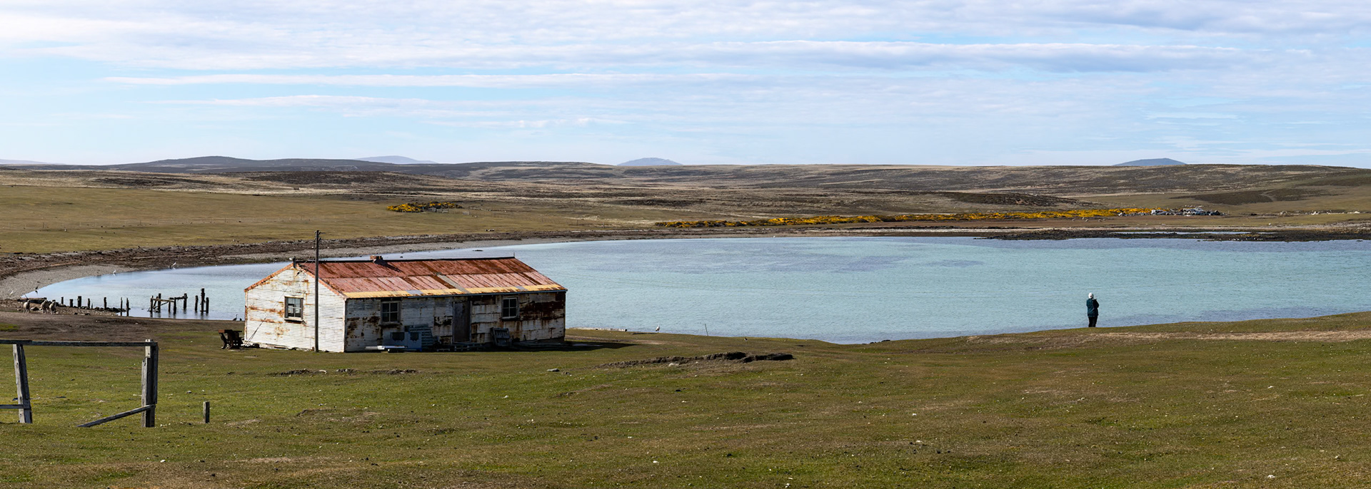 Landscape, Pebble Island, Falkland Islands