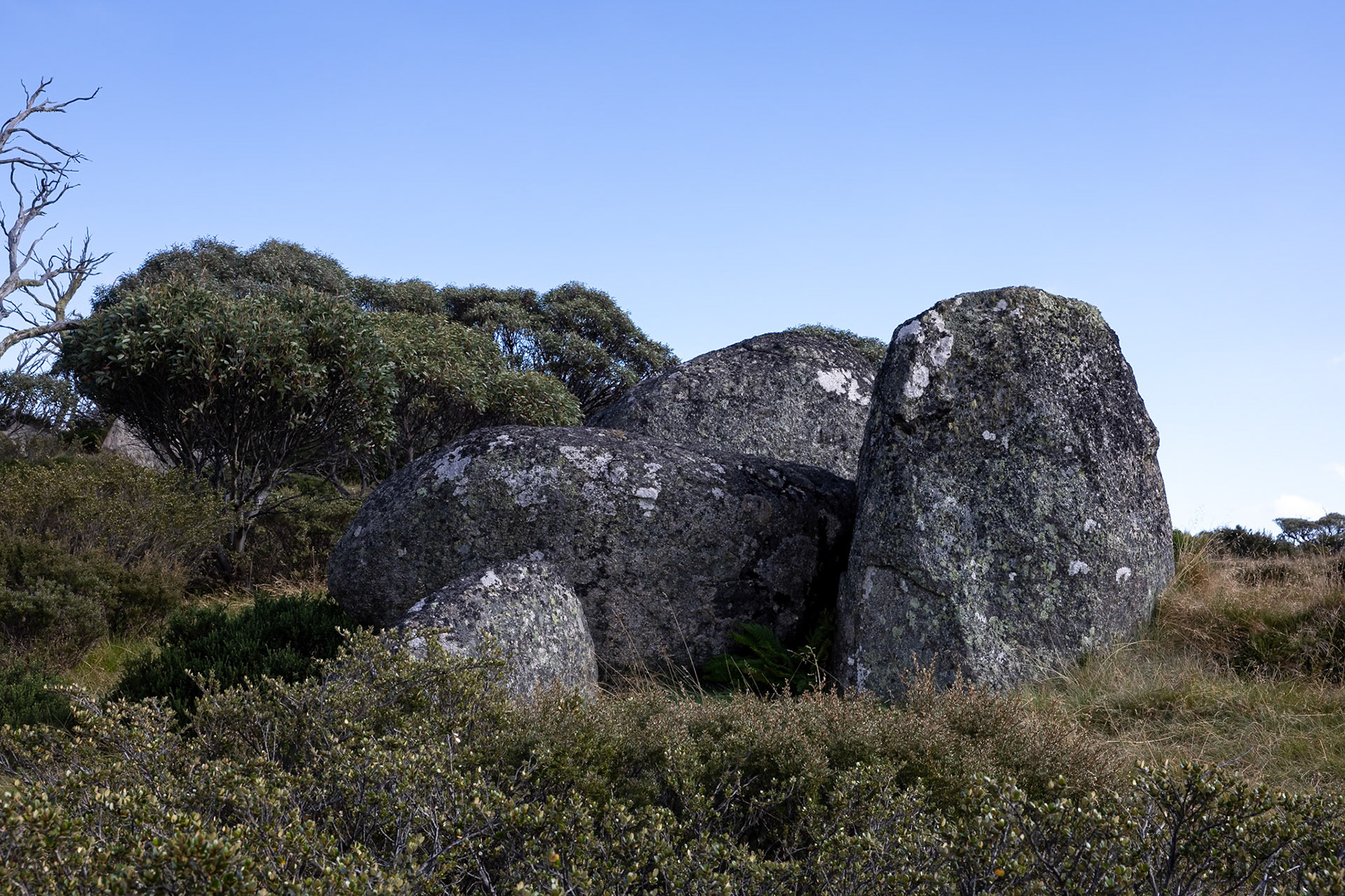 Perisher Valley to Bullock's Flat, Snowies Hiking Trail, Snowy Mountains, New South Wales, Australia
