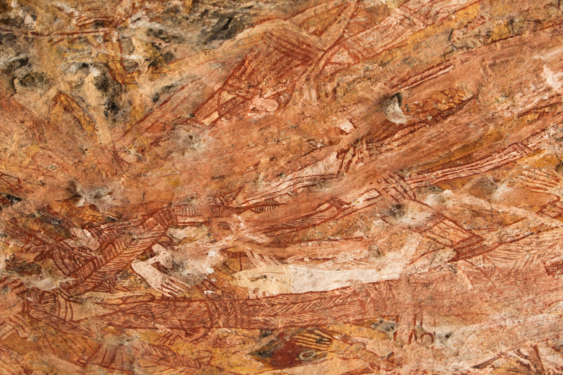 Rock-art. Mount Borradale, Arnhemland, Northern Territory