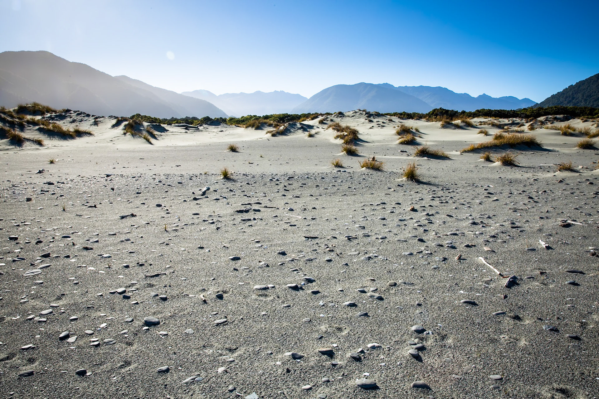 Hollyford Track, Martin's Bay, New Zealand