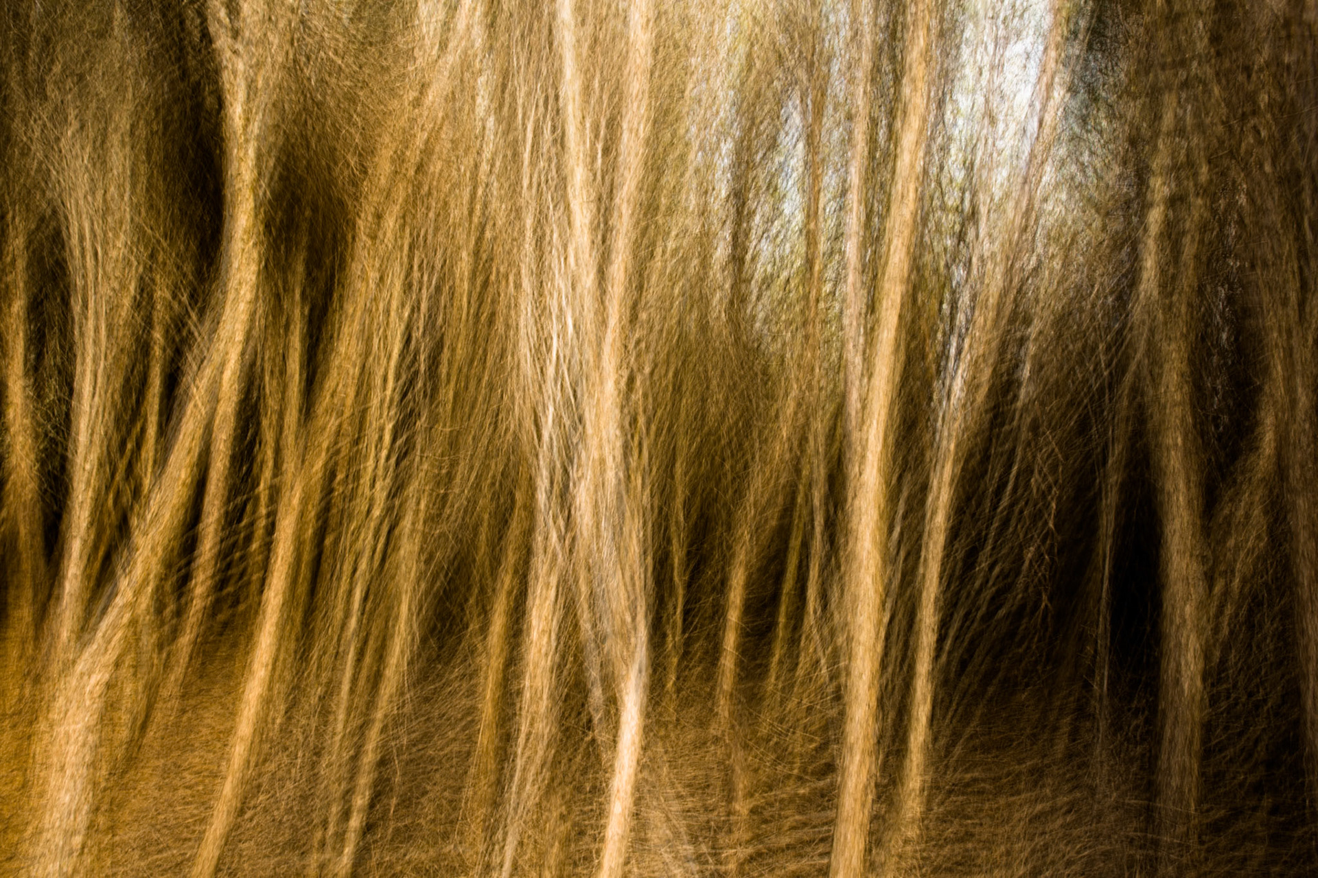 Marley Beach, Sunshine Coast, Queensland, Australia