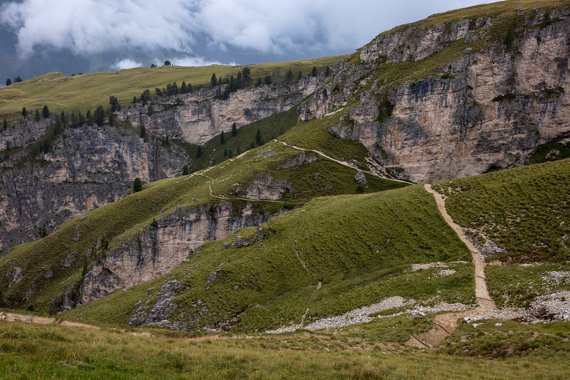 Stevia, Selva di Val Gardena, Dolomites, South Tyrol, Italy