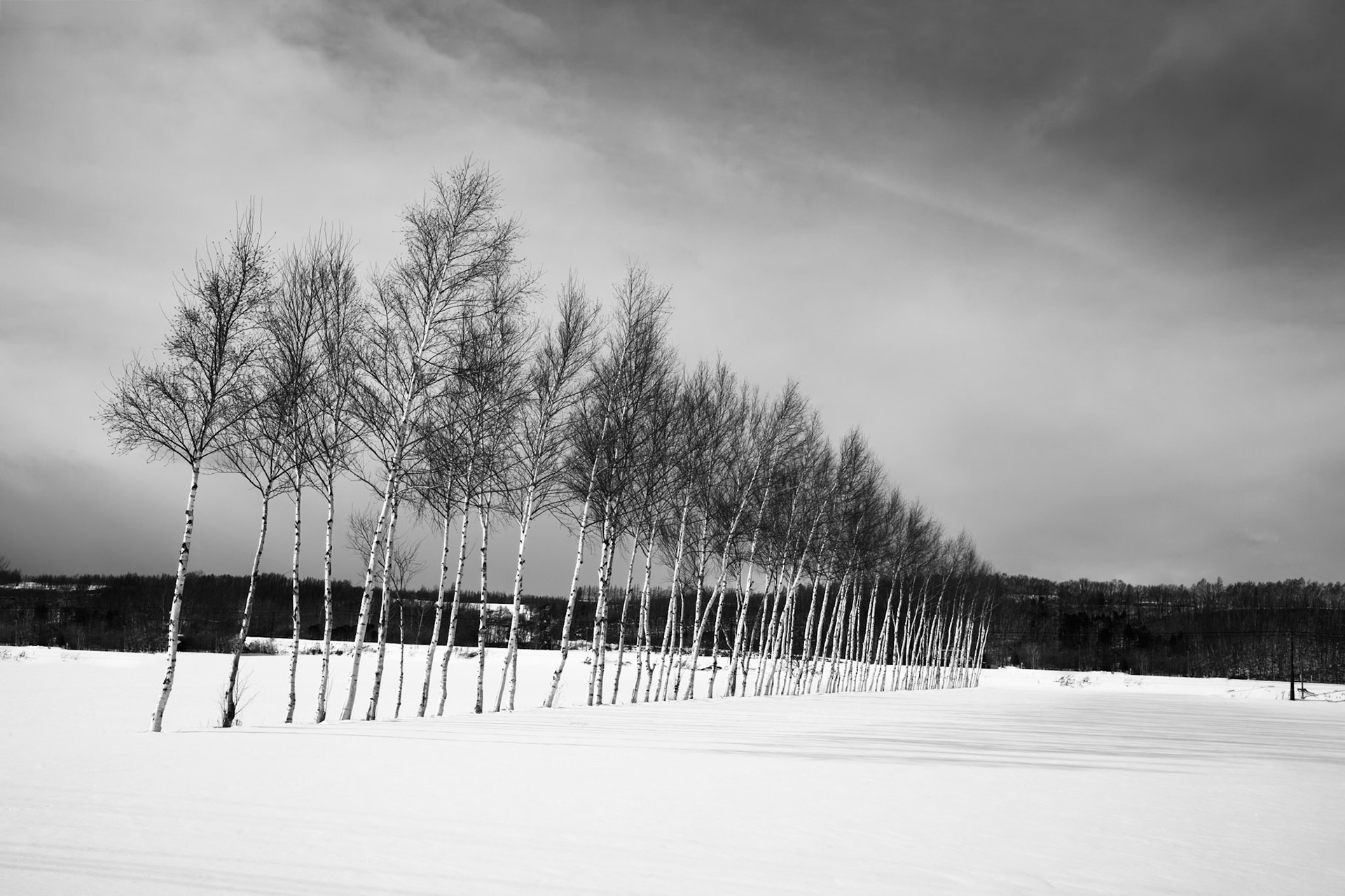 Near Lake Tofutsu, Koshimizu, Hokkaido, Japan