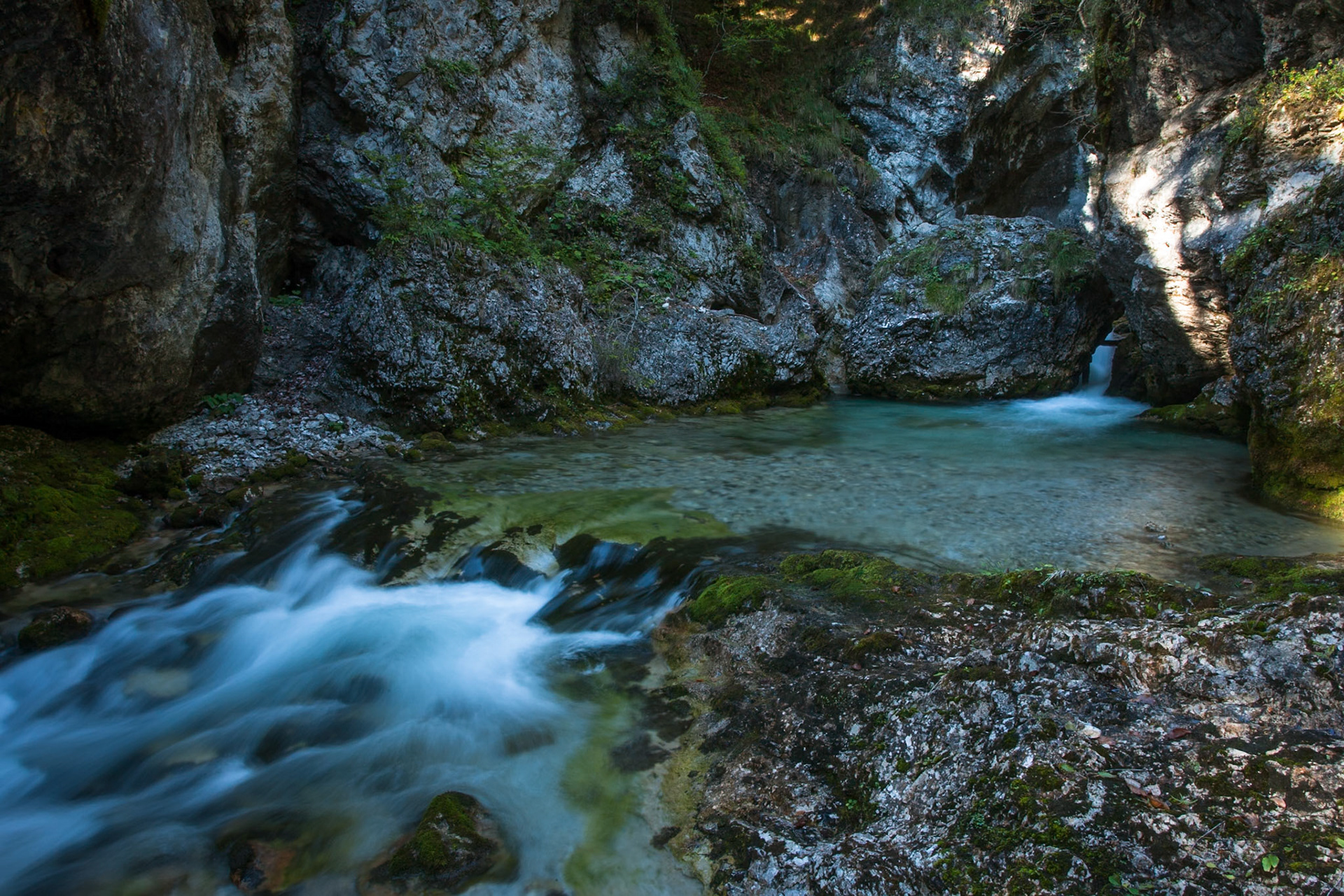 Mountain stream, Madonna di Campiglio, Italy.