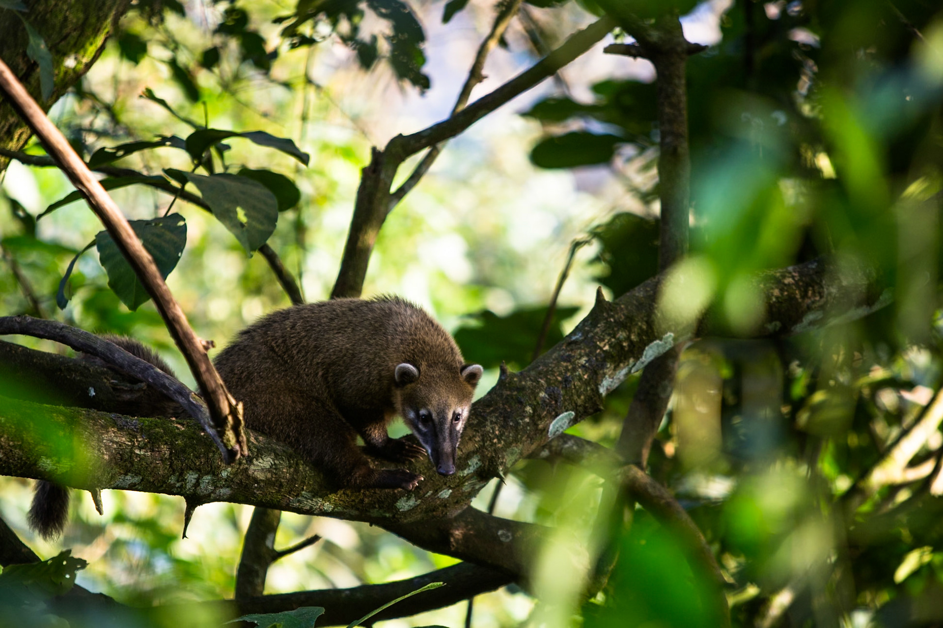 Iguassu Falls, Brazil and Argentina