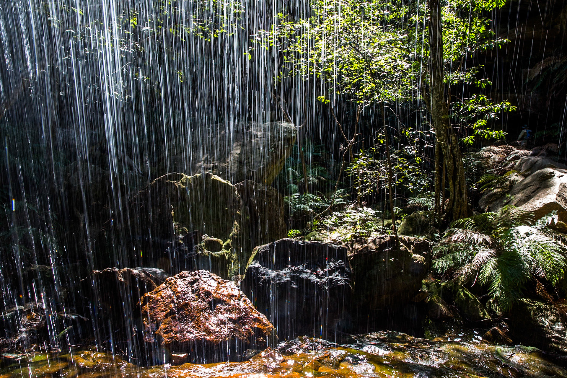 Descended from Neates Glen car park down to and through the Grand Canyon and back up to Evans Lookout. We continued along the clifftop path to Govett's leap and then on to Pulpit Rock. Notes by Peter Watt.