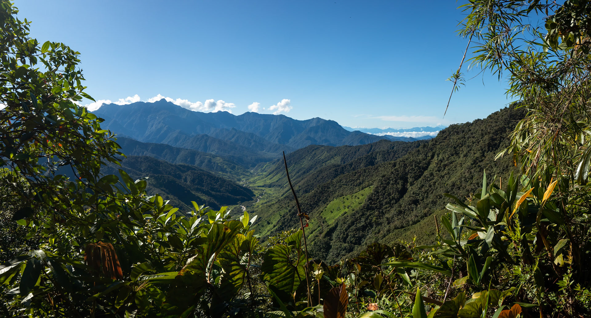 Las Tangeras, Colombia