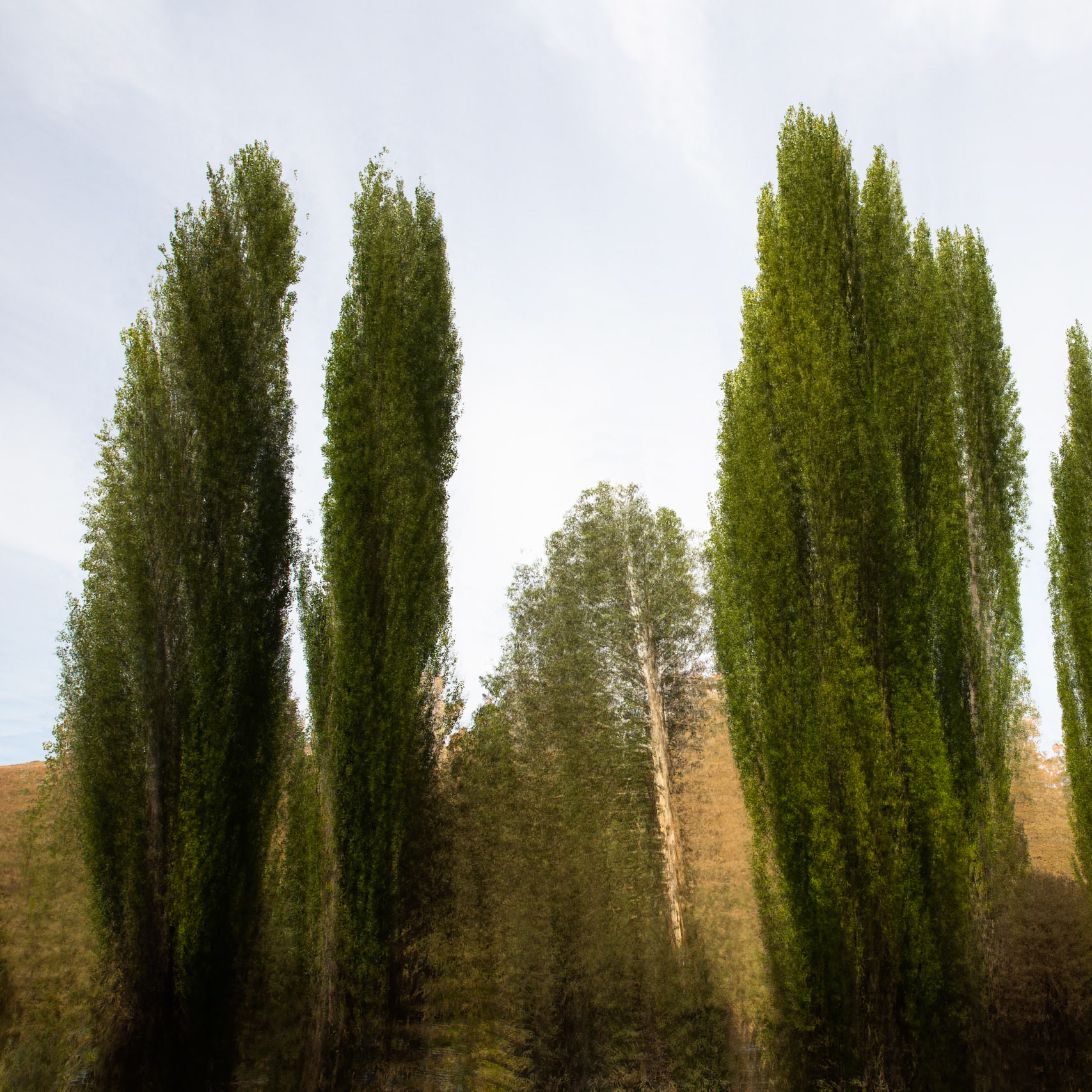 Sawpit creek track, Mount Kosciuszko National Park, Snowy Mountains, New South Wales