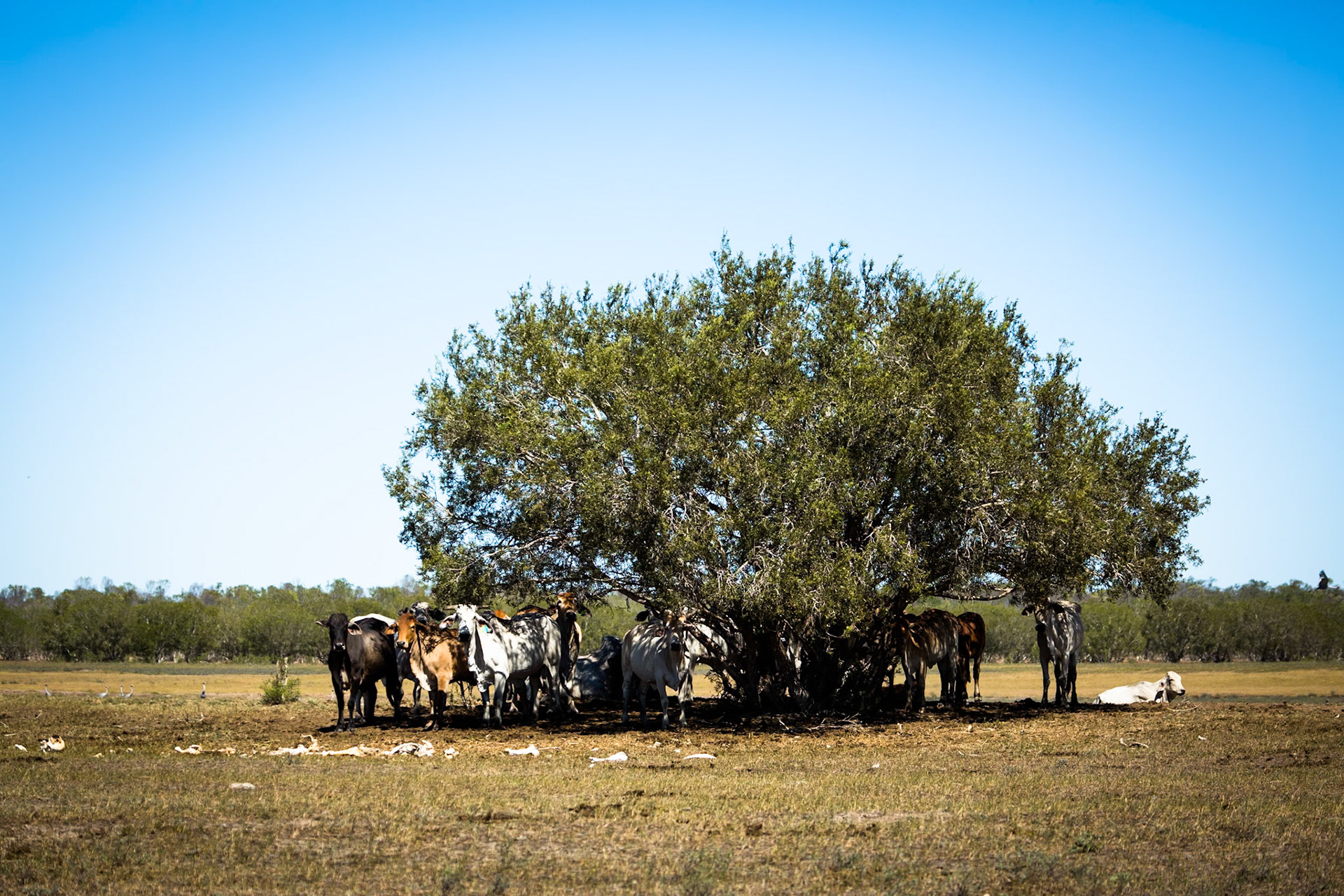 Broome, West Australia
