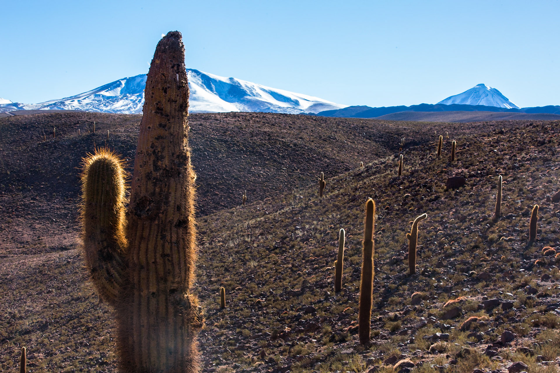 Towards Puritama, Altiplano, Atacama, Chile