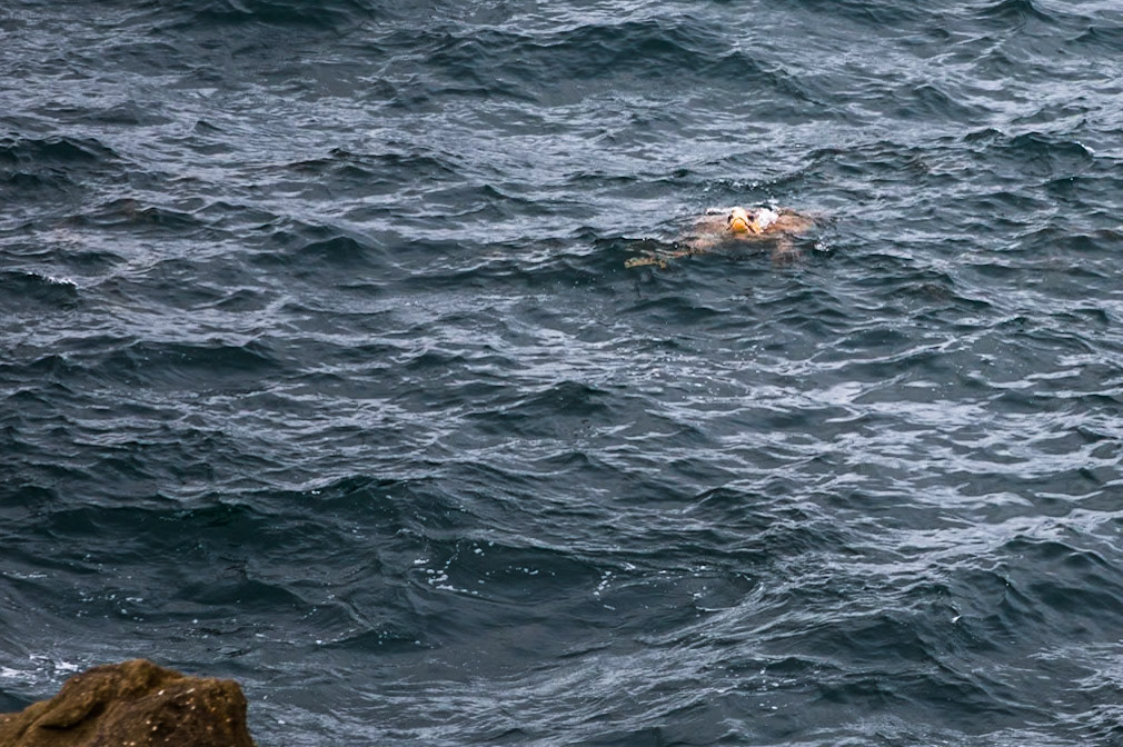 Stradbroke Island, Queensland