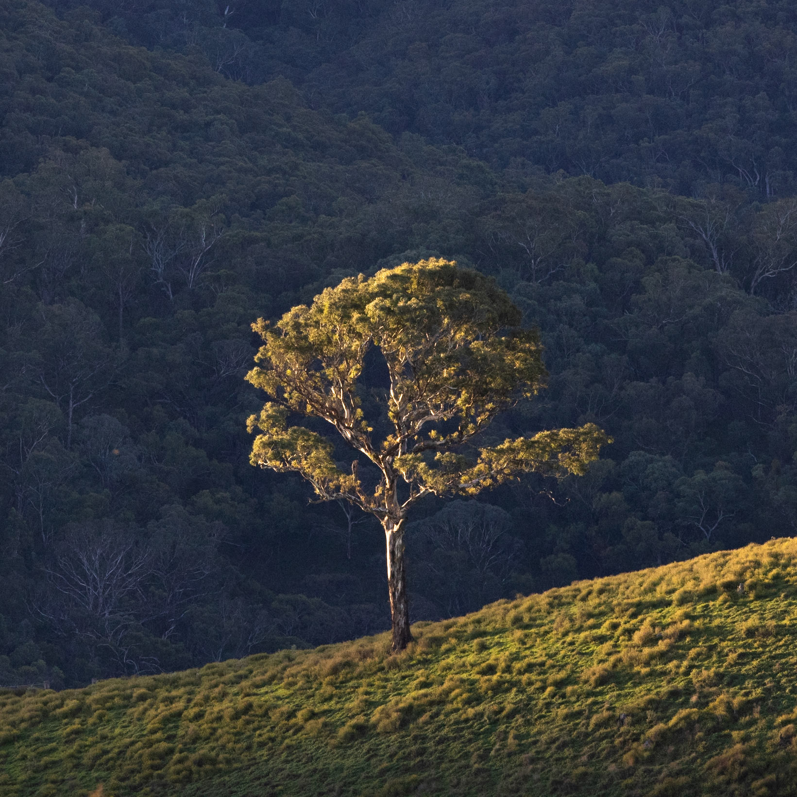 Turon Gates, New South Wales