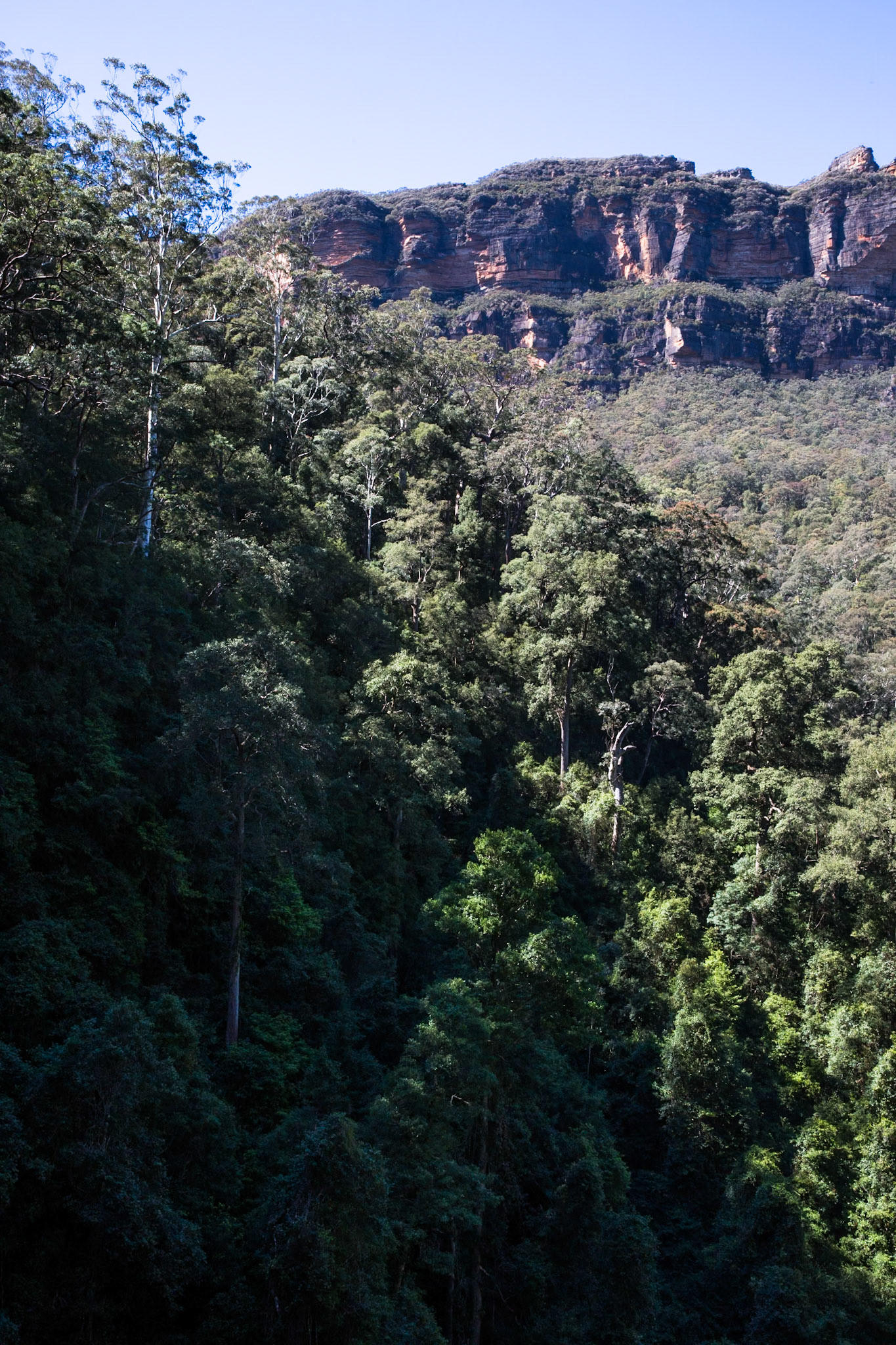 Started at the conservation hut and descended  the Valley of the Waters to Vera Falls. Tried unsuccessfully to find the route across to Hippocrene Falls.  Retraced our steps up to the conservation hut. Notes by Peter Watt.
