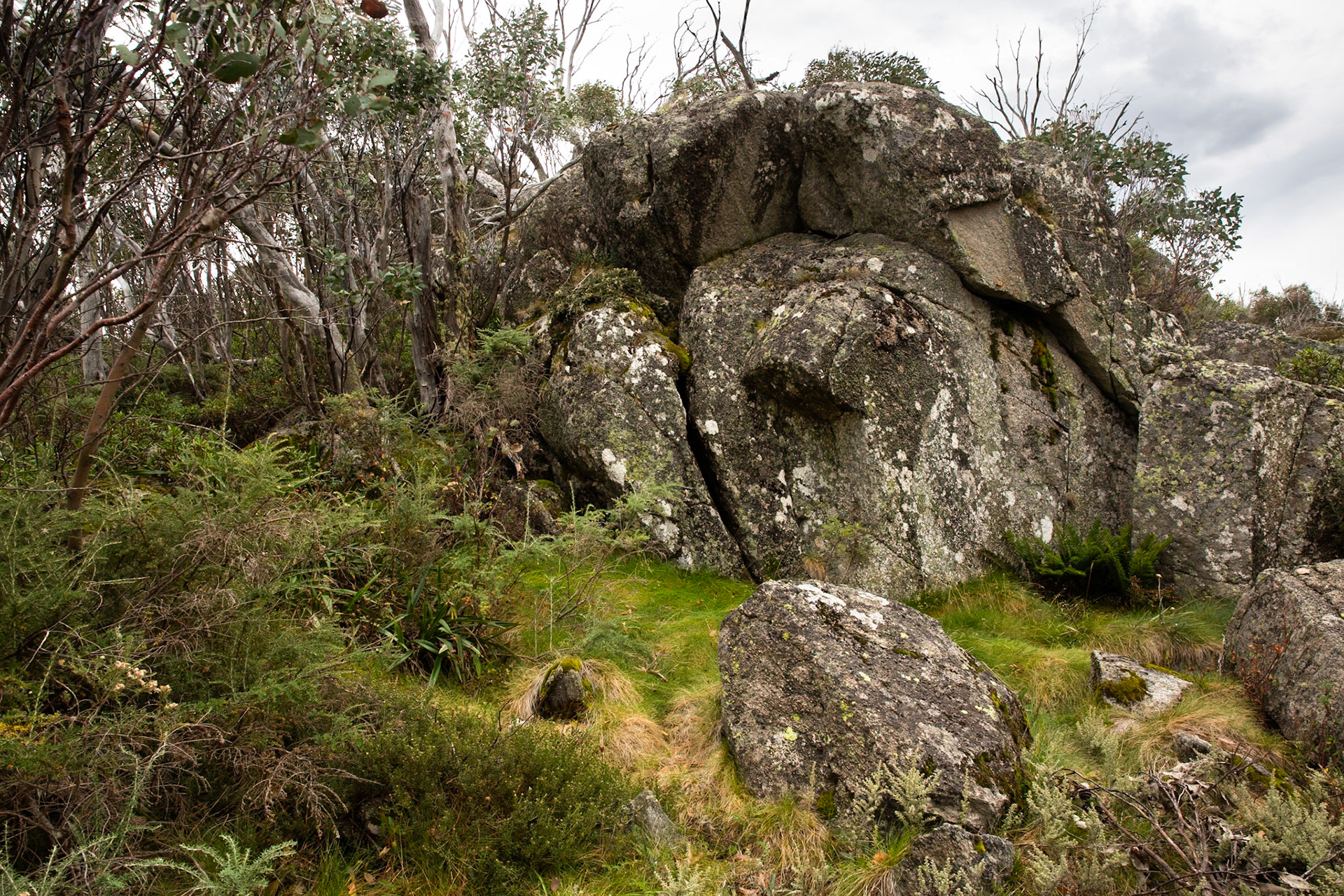Thredbo to the cablecar and return, Mount Kosciuszko National Park, Snowy Mountains, New South Wales