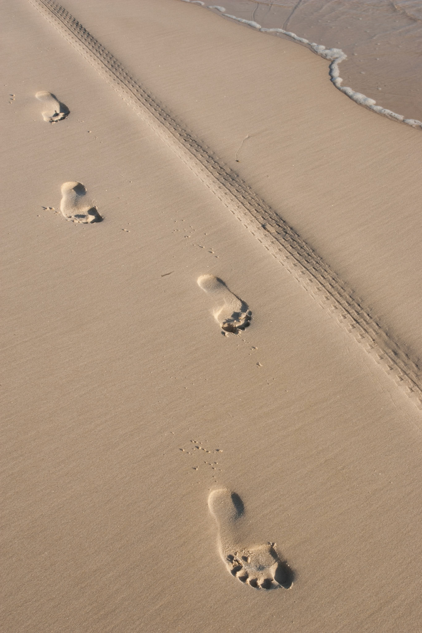 Footprints and tyremarks in the sand, Belongil Beach, Byron Bay, New South Wales