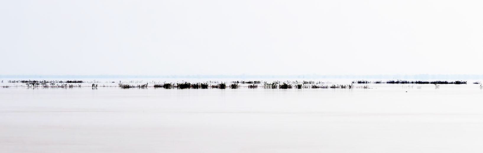 Landscape, Gorongosa, Mozambique