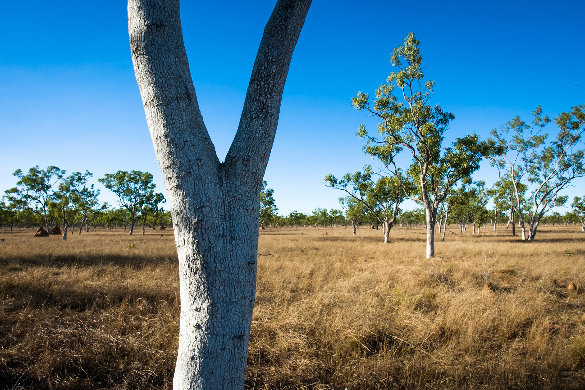 Broome, West Australia