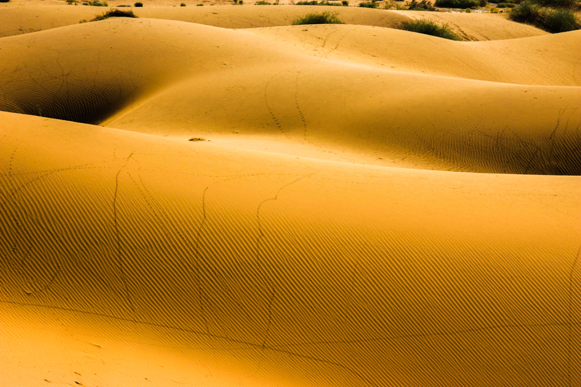 Sossusvlei, Namibia